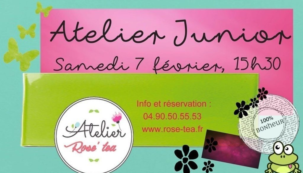 Stage junior n°3 web