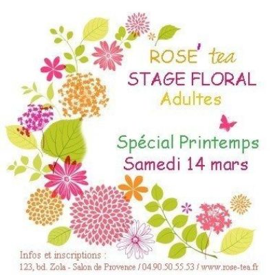 stage adulte printemps 14 mars